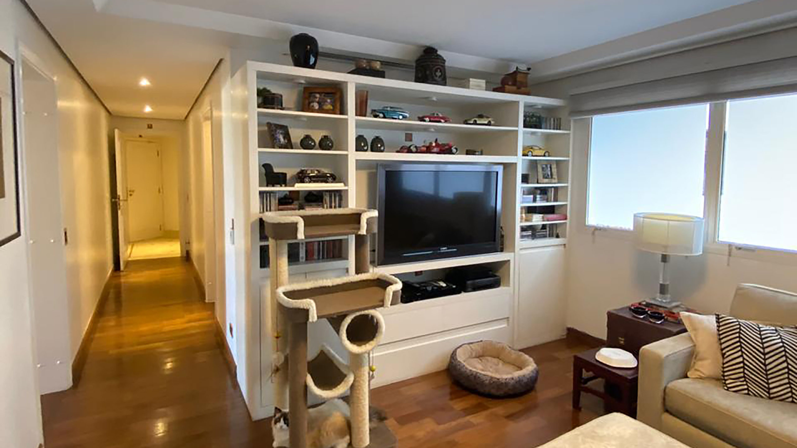 Home_theater_Antes_Alto_lapa Home_theater_Antes_Alto_lapa